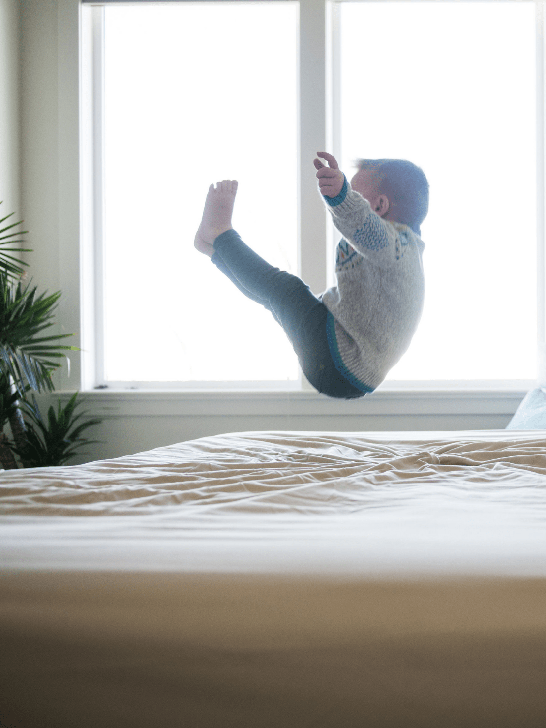 Sweet Sheets® Fitted Bed Sheet - Sweet Sheets®
