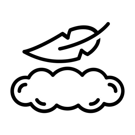 Icon of feather & cloud emphasizing softness & comfort